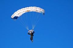 KAIYUNAPP-瑞典乒乓球队未来的核心：年轻化与经验化并重，瑞典的乒乓球优秀选手